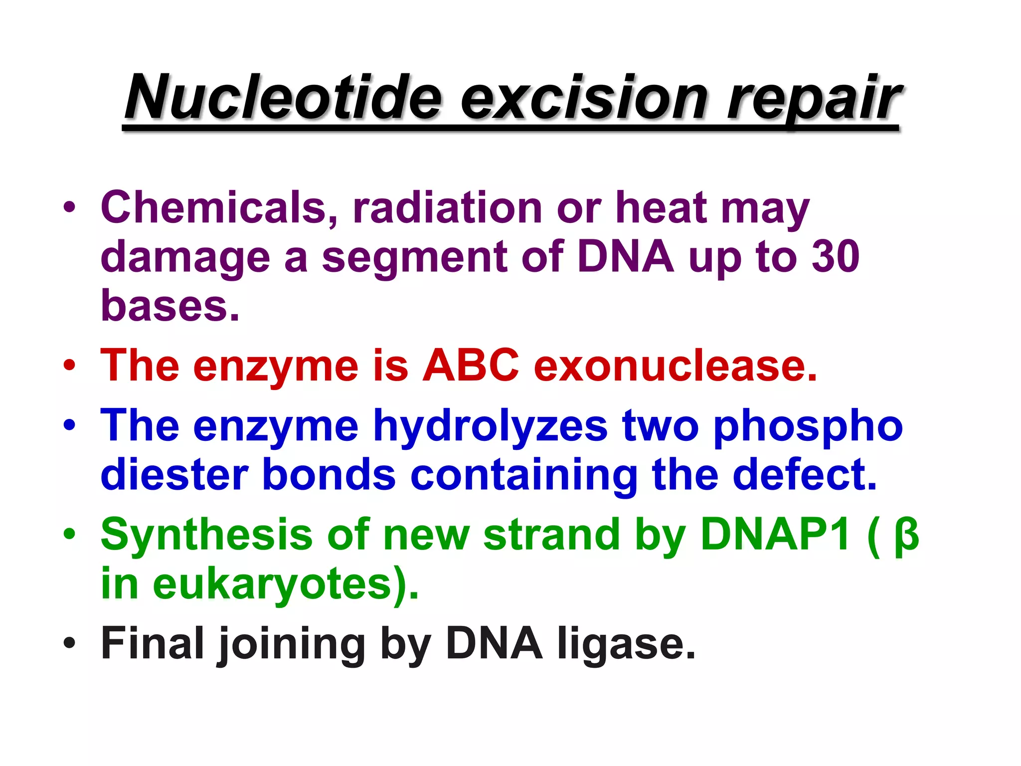 Nucleotide excision repair
• Chemicals, radiation or heat may
damage a segment of DNA up to 30
bases.
• The enzyme is ABC exonuclease.
• The enzyme hydrolyzes two phospho
diester bonds containing the defect.
• Synthesis of new strand by DNAP1 ( β
in eukaryotes).
• Final joining by DNA ligase.
 
