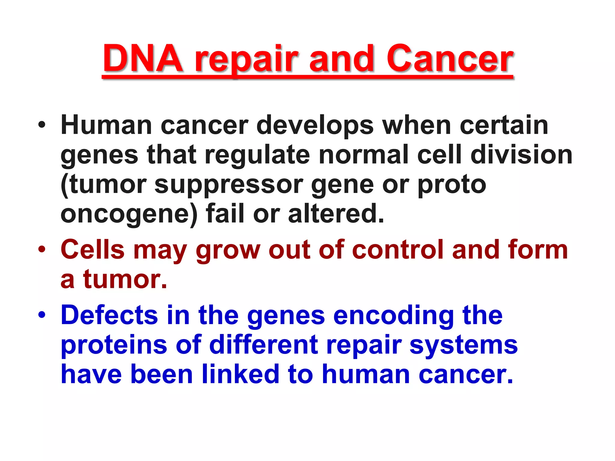 DNA repair and Cancer
• Human cancer develops when certain
genes that regulate normal cell division
(tumor suppressor gene or proto
oncogene) fail or altered.
• Cells may grow out of control and form
a tumor.
• Defects in the genes encoding the
proteins of different repair systems
have been linked to human cancer.
 