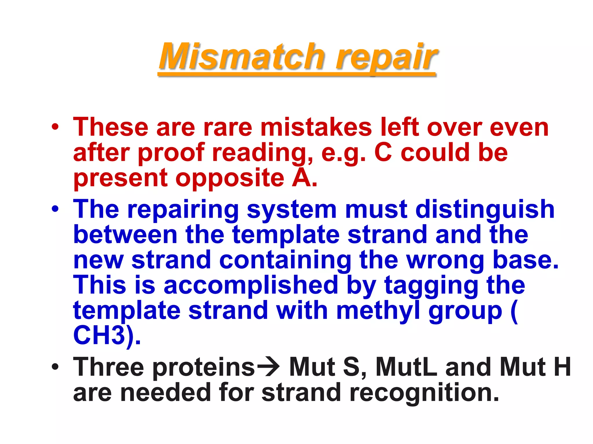 Mismatch repair
• These are rare mistakes left over even
after proof reading, e.g. C could be
present opposite A.
• The repairing system must distinguish
between the template strand and the
new strand containing the wrong base.
This is accomplished by tagging the
template strand with methyl group (
CH3).
• Three proteins Mut S, MutL and Mut H
are needed for strand recognition.
 