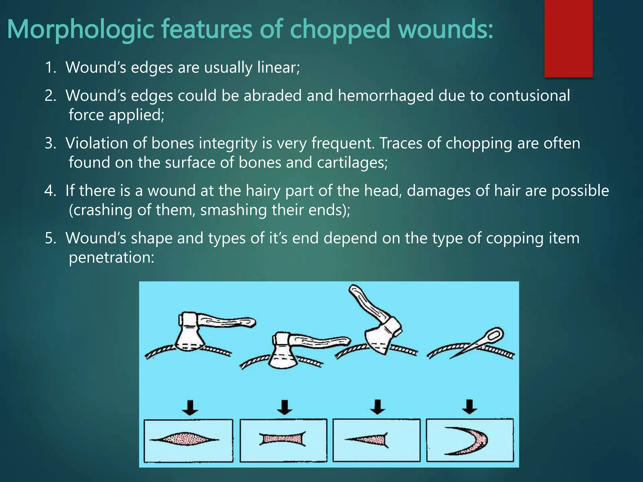Lecture 2. Forensic traumatology.ppt