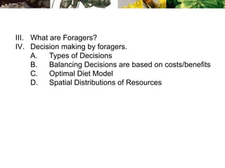 III. What are Foragers?
IV. Decision making by foragers.
A. Types of Decisions
B. Balancing Decisions are based on costs/benefits
C. Optimal Diet Model
D. Spatial Distributions of Resources
 