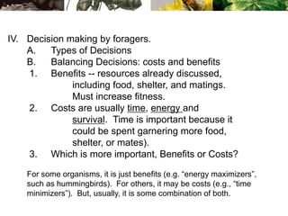 IV. Decision making by foragers.
A. Types of Decisions
B. Balancing Decisions: costs and benefits
1. Benefits -- resources already discussed,
including food, shelter, and matings.
Must increase fitness.
2. Costs are usually time, energy and
survival. Time is important because it
could be spent garnering more food,
shelter, or mates).
3. Which is more important, Benefits or Costs?
For some organisms, it is just benefits (e.g. “energy maximizers”,
such as hummingbirds). For others, it may be costs (e.g., “time
minimizers”). But, usually, it is some combination of both.
 