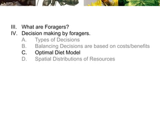 III. What are Foragers?
IV. Decision making by foragers.
A. Types of Decisions
B. Balancing Decisions are based on costs/benefits
C. Optimal Diet Model
D. Spatial Distributions of Resources
 