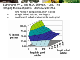 Sutherland, W. J. and R. A. Stillman. 1988. The
foraging tactics of plants. Oikos 52:239-244.
-- long nodes in bad patches, short in good
-- straight in bad patches, turn in good
-- don’t branch in bad environments, do in good
 