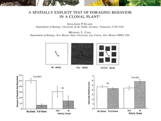 Can generalists predators be a effective bio-control agents?Lecture_2.ppt