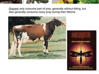 Grazers only consume part of prey, generally without killing, but
also generally consume many prey during their lifetime
 