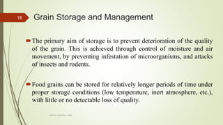 Grain Storage and Management
The primary aim of storage is to prevent deterioration of the quality
of the grain. This is achieved through control of moisture and air
movement, by preventing infestation of microorganisms, and attacks
of insects and rodents.
Food grains can be stored for relatively longer periods of time under
proper storage conditions (low temperature, inert atmosphere, etc.),
with little or no detectable loss of quality.
16
AASTU, Food Eng. Dept.
 