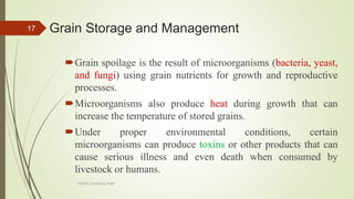 Grain Storage and Management
Grain spoilage is the result of microorganisms (bacteria, yeast,
and fungi) using grain nutrients for growth and reproductive
processes.
Microorganisms also produce heat during growth that can
increase the temperature of stored grains.
Under proper environmental conditions, certain
microorganisms can produce toxins or other products that can
cause serious illness and even death when consumed by
livestock or humans.
17
AASTU, Food Eng. Dept.
 
