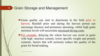 Grain Storage and Management
Grain quality can start to deteriorate in the field prior to
harvest. Rainfall prior and during the harvest period can
encourage diseases and premature sprouting, whilst high grain
moisture levels will necessitate increased drying costs.
For example, delaying the wheat harvest can result in grain
with high -amylase content, lower specific weight and protein
contents, factors that will seriously reduce the quality of the
grain for bread making.
19
AASTU, Food Eng. Dept.
 