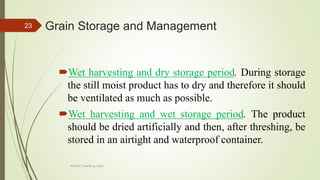 Grain Storage and Management
Wet harvesting and dry storage period. During storage
the still moist product has to dry and therefore it should
be ventilated as much as possible.
Wet harvesting and wet storage period. The product
should be dried artificially and then, after threshing, be
stored in an airtight and waterproof container.
23
AASTU, Food Eng. Dept.
 