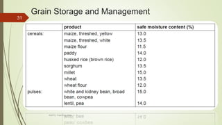 Grain Storage and Management
31
AASTU, Food Eng. Dept.
 