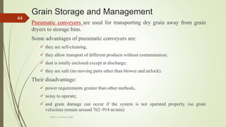 Grain Storage and Management
Pneumatic conveyors are used for transporting dry grain away from grain
dryers to storage bins.
Some advantages of pneumatic conveyors are:
 they are self-cleaning,
 they allow transport of different products without contamination;
 dust is totally enclosed except at discharge;
 they are safe (no moving parts other than blower and airlock).
Their disadvantage:
 power requirements greater than other methods,
 noisy to operate;
 and grain damage can occur if the system is not operated properly, (so grain
velocities remain around 762–914 m/min)
44
AASTU, Food Eng. Dept.
 