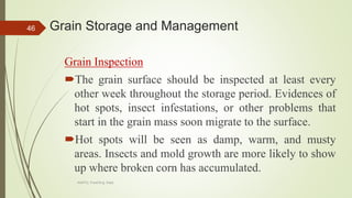 Grain Storage and Management
Grain Inspection
The grain surface should be inspected at least every
other week throughout the storage period. Evidences of
hot spots, insect infestations, or other problems that
start in the grain mass soon migrate to the surface.
Hot spots will be seen as damp, warm, and musty
areas. Insects and mold growth are more likely to show
up where broken corn has accumulated.
46
AASTU, Food Eng. Dept.
 