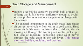 Grain Storage and Management
In bins over 900 kg capacity, the grain bulk or mass is
so large that it fails to cool uniformly enough to avoid
storage problems as outdoor temperatures change with
the seasons
The unequal temperature in the grain mass then causes
air current to circulate from warm to cold grain. Since
warm air holds more moisture than cold air, the air
moving up through the warm grain center picks up a
full load of moisture, depositing some as it moves
through the cold grain in the top layer. This causes
moisture buildup, molding, and crusting.
49
AASTU, Food Eng. Dept.
 