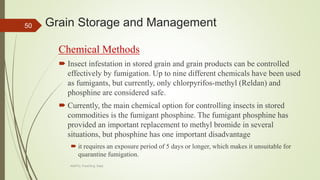 Grain Storage and Management
Chemical Methods
 Insect infestation in stored grain and grain products can be controlled
effectively by fumigation. Up to nine different chemicals have been used
as fumigants, but currently, only chlorpyrifos-methyl (Reldan) and
phosphine are considered safe.
 Currently, the main chemical option for controlling insects in stored
commodities is the fumigant phosphine. The fumigant phosphine has
provided an important replacement to methyl bromide in several
situations, but phosphine has one important disadvantage
 it requires an exposure period of 5 days or longer, which makes it unsuitable for
quarantine fumigation.
50
AASTU, Food Eng. Dept.
 
