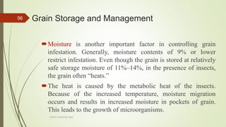 Grain Storage and Management
Moisture is another important factor in controlling grain
infestation. Generally, moisture contents of 9% or lower
restrict infestation. Even though the grain is stored at relatively
safe storage moisture of 11%–14%, in the presence of insects,
the grain often “heats.”
The heat is caused by the metabolic heat of the insects.
Because of the increased temperature, moisture migration
occurs and results in increased moisture in pockets of grain.
This leads to the growth of microorganisms.
56
AASTU, Food Eng. Dept.
 