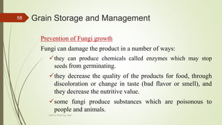 Grain Storage and Management
Prevention of Fungi growth
Fungi can damage the product in a number of ways:
they can produce chemicals called enzymes which may stop
seeds from germinating.
they decrease the quality of the products for food, through
discoloration or change in taste (bad flavor or smell), and
they decrease the nutritive value.
some fungi produce substances which are poisonous to
people and animals.
58
AASTU, Food Eng. Dept.
 