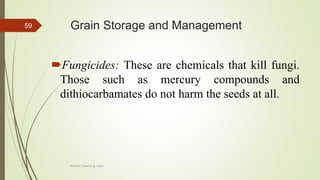 Grain Storage and Management
Fungicides: These are chemicals that kill fungi.
Those such as mercury compounds and
dithiocarbamates do not harm the seeds at all.
AASTU, Food Eng. Dept.
59
 