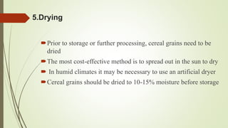 5.Drying
Prior to storage or further processing, cereal grains need to be
dried
The most cost-effective method is to spread out in the sun to dry
 In humid climates it may be necessary to use an artificial dryer
Cereal grains should be dried to 10-15% moisture before storage
 