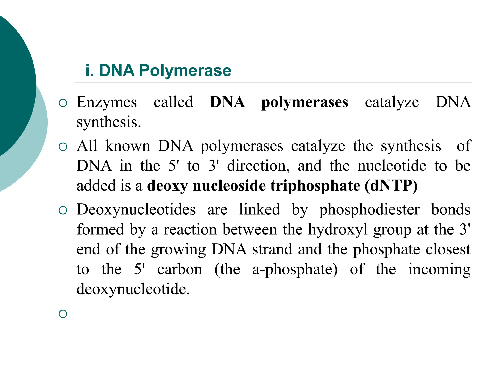 DNA structure and replication with the enzymes involved in repication ...