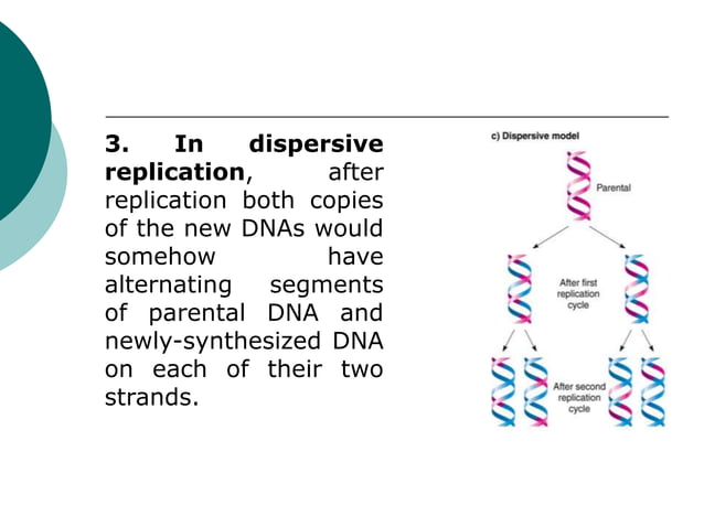 DNA structure and replication with the enzymes involved in repication ...