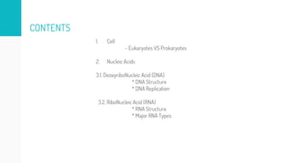 Lecture 2.2 Molecular and Cellular Biology (DNA Replication).pptx