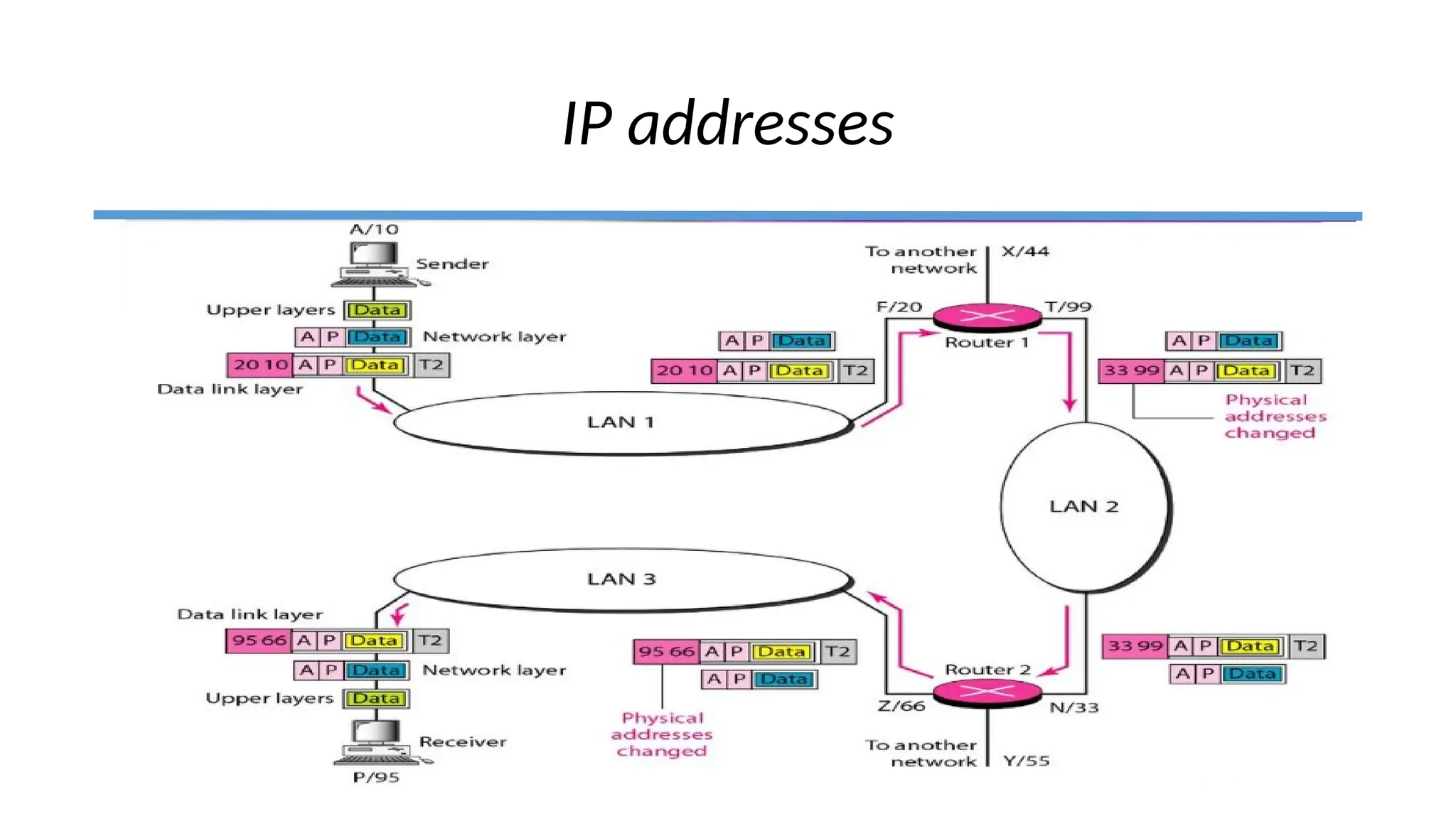 IP addresses
 