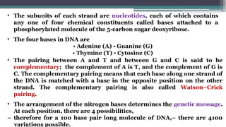 • The subunits of each strand are nucleotides, each of which contains
any one of four chemical constituents called bases attached to a
phosphorylated molecule of the 5-carbon sugar deoxyribose.
• The four bases in DNA are
• Adenine (A) • Guanine (G)
• Thymine (T) • Cytosine (C)
• The pairing between A and T and between G and C is said to be
complementary; the complement of A is T, and the complement of G is
C. The complementary pairing means that each base along one strand of
the DNA is matched with a base in the opposite position on the other
strand. The complementary pairing is also called Watson–Crick
pairing.
• The arrangement of the nitrogen bases determines the genetic message.
At each position, there are 4 possibilities,
– therefore for a 100 base pair long molecule of DNA,– there are 4100
variations possible.
 