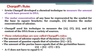 Chargaff’s Rules
• Erwin Chargaff developed a chemical technique to measure the amount
of each base present in DNA.
• The molar concentration of any base be represented by the symbol for
the base in square brackets; for example, [A] denotes the molar
concentration of adenine.
• Chargaff used his technique to measure the [A], [T], [G], and [C]
content of the DNA from a variety of sources.
 These relationships are now called Chargaff’s rules:
• The amount of adenine equals that of thymine: [A] = [T].
• The amount of guanine equals that of cytosine: [G] = [C].
• The amount of the purine bases equals that of the pyrimidine bases:
[A] + [G] =[T] + [C].
• A+T does not have to equal G+C
 