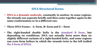 DNA Structural forms
• DNA is a dynamic molecule, constantly in motion. In some regions,
the strands can separate briefly and then come together again in the
same conformation or in a different one.
• Three DNA Forms : A- form, B- form and Z – form
• The right-handed double helix is the standard B form, but
depending on conditions, DNA can actually form more than 20
slightly different variants of a right-handed helix, and some regions
can even form helices in which the strands twist to the left (called
the Z form of DNA).
 