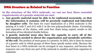 DNA Structure as Related to Function
In the structure of the DNA molecule, we can see how three essential
requirements of a genetic material are met:
1. Any genetic material must be able to be replicated accurately, so that
the information it contains will be precisely replicated and inherited
by daughter cells. The basis for exact duplication of a DNA molecule is the
pairing of A with T and of G with C in the two polynucleotide chains. Unwinding
and separation of the chains, with each free chain being copied, results in the
formation of two identical double helices.
2. A genetic material must also have the capacity to carry all of the
information needed to direct the organization and metabolic activities
of the cell. The product of most genes is a protein. In DNA, this is done by means
of a genetic code in which groups of three bases specify amino acids. Because the
four bases in a DNA molecule can be arranged in any sequence, and because the
sequence can vary from one part of the molecule to another and from organism to
organism.
 