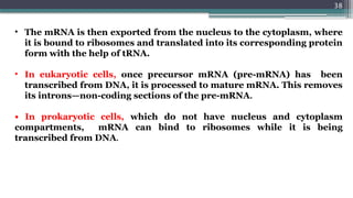 38
• The mRNA is then exported from the nucleus to the cytoplasm, where
it is bound to ribosomes and translated into its corresponding protein
form with the help of tRNA.
• In eukaryotic cells, once precursor mRNA (pre-mRNA) has been
transcribed from DNA, it is processed to mature mRNA. This removes
its introns—non-coding sections of the pre-mRNA.
• In prokaryotic cells, which do not have nucleus and cytoplasm
compartments, mRNA can bind to ribosomes while it is being
transcribed from DNA.
 