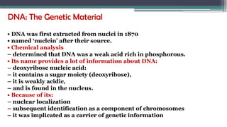 DNA: The Genetic Material
• DNA was first extracted from nuclei in 1870
• named ‘nuclein’ after their source.
• Chemical analysis
– determined that DNA was a weak acid rich in phosphorous.
• Its name provides a lot of information about DNA:
– deoxyribose nucleic acid:
– it contains a sugar moiety (deoxyribose),
– it is weakly acidic,
– and is found in the nucleus.
• Because of its:
– nuclear localization
– subsequent identification as a component of chromosomes
– it was implicated as a carrier of genetic information
 