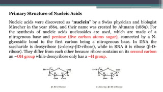 Primary Structure of Nucleic Acids
Nucleic acids were discovered as “nuclein” by a Swiss physician and biologist
Miescher in the year 1869, and their name was created by Altmann (1889). For
the synthesis of nucleic acids nucleosides are used, which are made of a
nitrogenous base and pentose (five carbon atoms sugar), connected by a N-
glycosidic bond to the first carbon being a nitrogenous base. In DNA the
saccharide is deoxyribose (2-deoxy-βD-ribose), while in RNA it is ribose (β-D-
ribose). They differ from each other because ribose contains on its second carbon
an –OH group while deoxyribose only has a –H group.
 