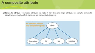 Lecture 2 database management system.pdf