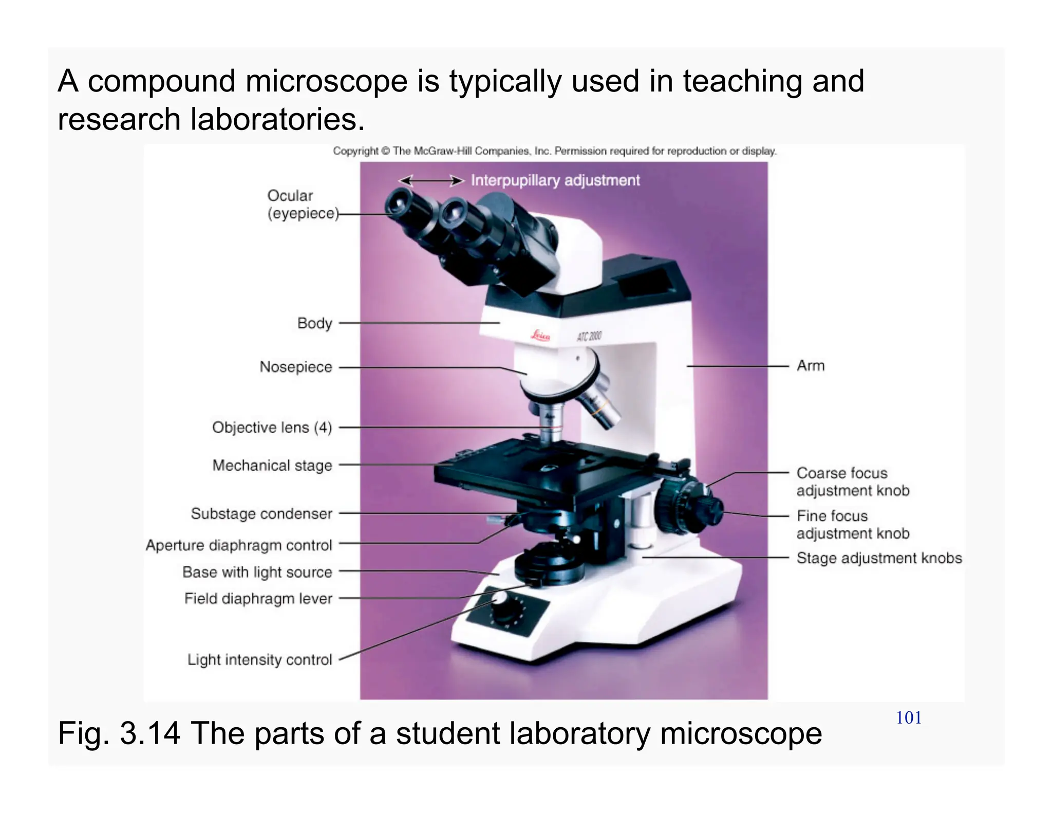 101
A compound microscope is typically used in teaching and
research laboratories.
Fig. 3.14 The parts of a student laboratory microscope
 