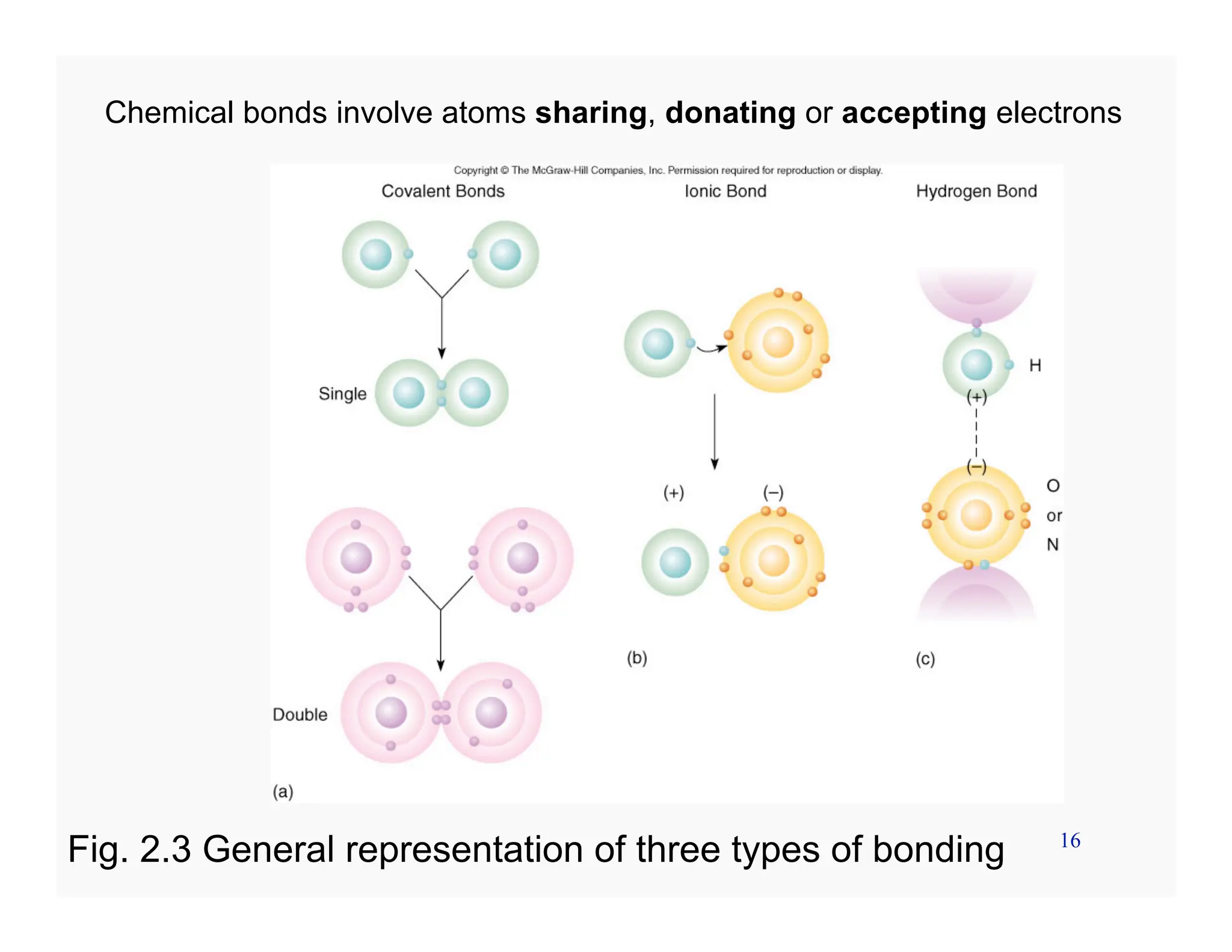 16
Chemical bonds involve atoms sharing, donating or accepting electrons
Fig. 2.3 General representation of three types of bonding
 