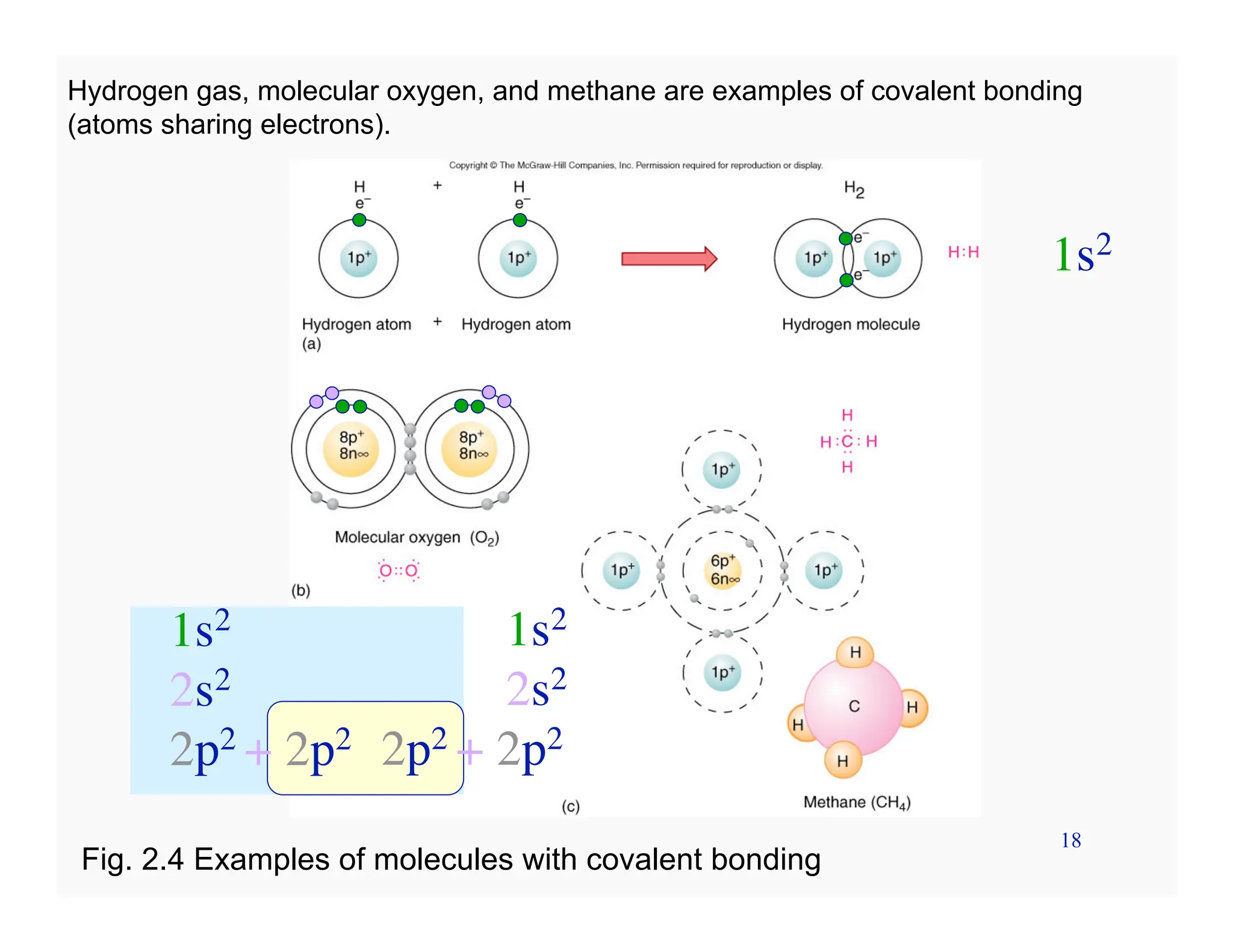 18
Hydrogen gas, molecular oxygen, and methane are examples of covalent bonding
(atoms sharing electrons).
Fig. 2.4 Examples of molecules with covalent bonding
1s2
1s2
2s2
2p2 + 2p2
1s2
2s2
2p2 + 2p2
 