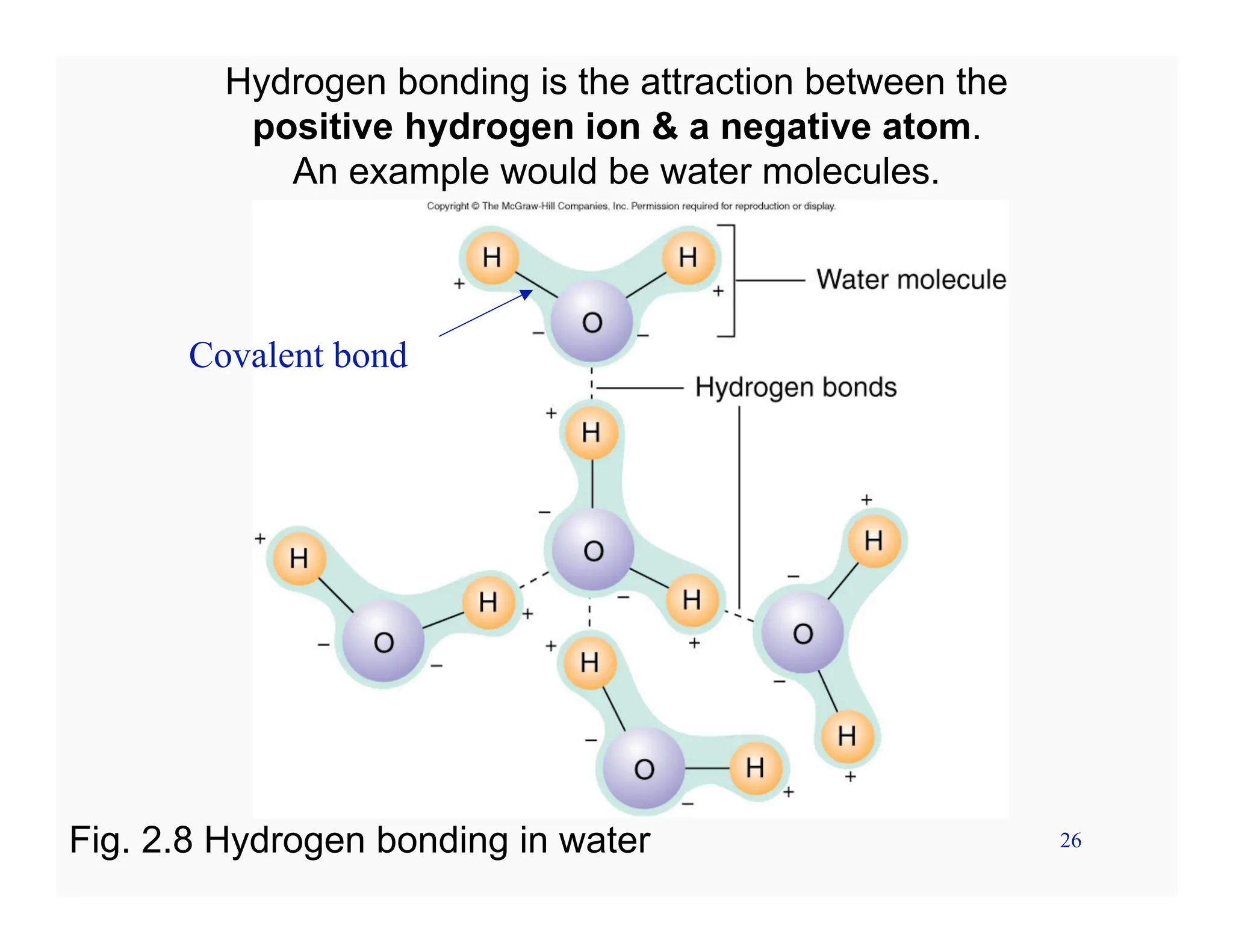 26
Hydrogen bonding is the attraction between the
positive hydrogen ion & a negative atom.
An example would be water molecules.
Fig. 2.8 Hydrogen bonding in water
Covalent bond
 