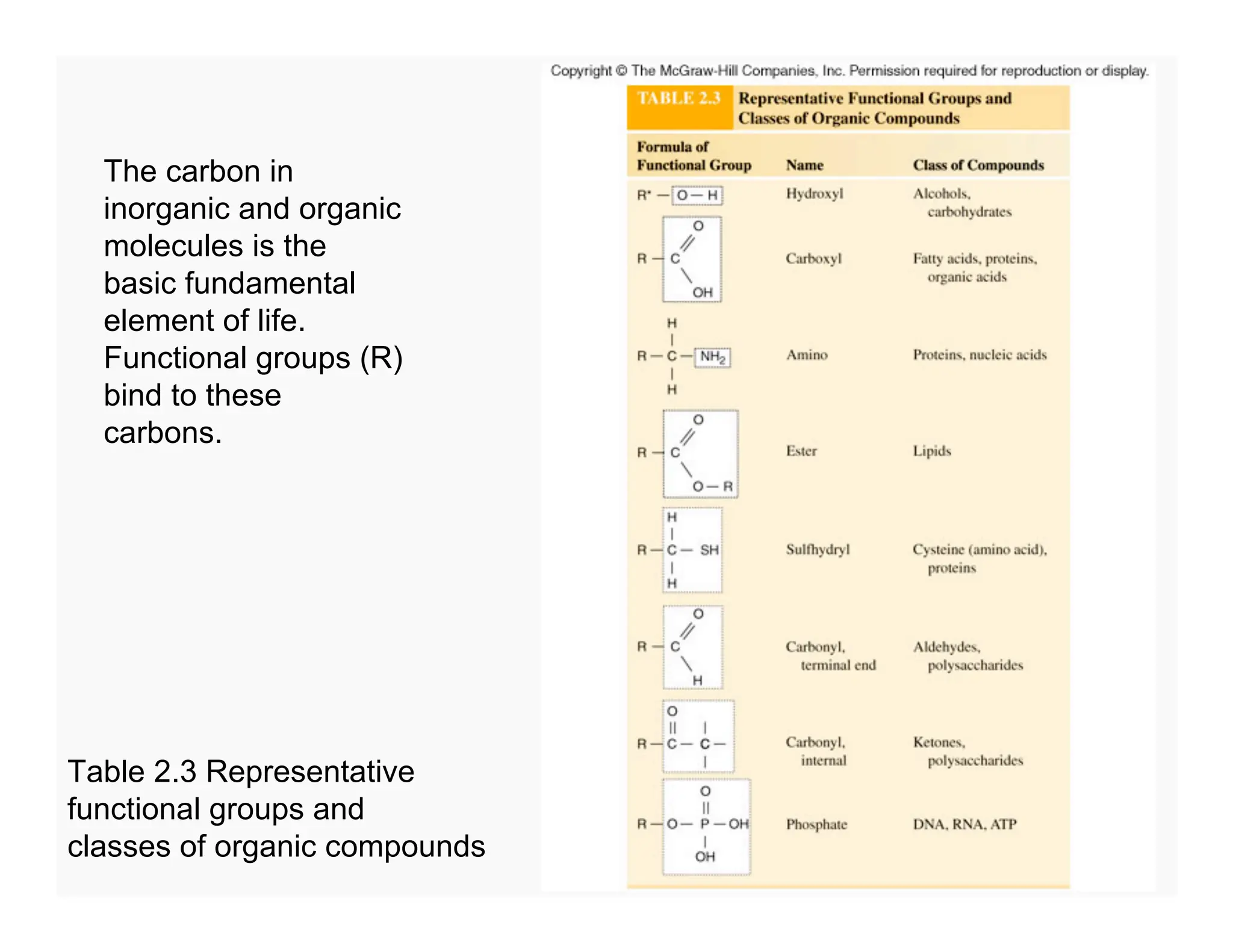 45
The carbon in
inorganic and organic
molecules is the
basic fundamental
element of life.
Functional groups (R)
bind to these
carbons.
Table 2.3 Representative
functional groups and
classes of organic compounds
 