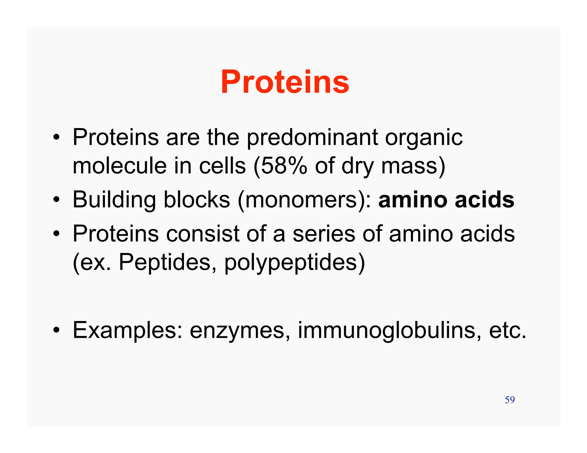 59
Proteins
• Proteins are the predominant organic
molecule in cells (58% of dry mass)
• Building blocks (monomers): amino acids
• Proteins consist of a series of amino acids
(ex. Peptides, polypeptides)
• Examples: enzymes, immunoglobulins, etc.
 