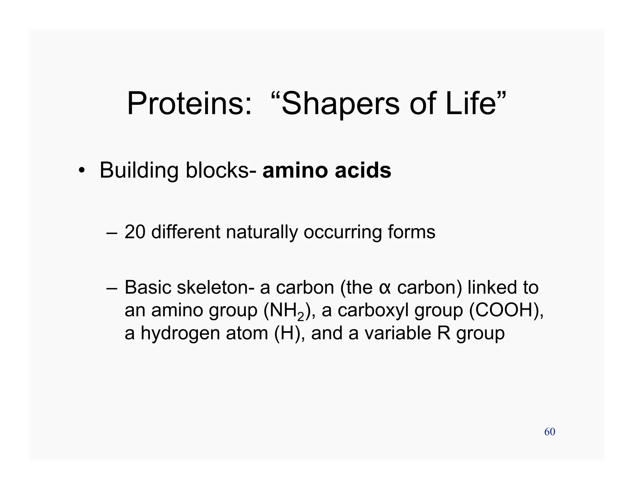 60
Proteins: “Shapers of Life”
• Building blocks- amino acids
– 20 different naturally occurring forms
– Basic skeleton- a carbon (the α carbon) linked to
an amino group (NH2), a carboxyl group (COOH),
a hydrogen atom (H), and a variable R group
 