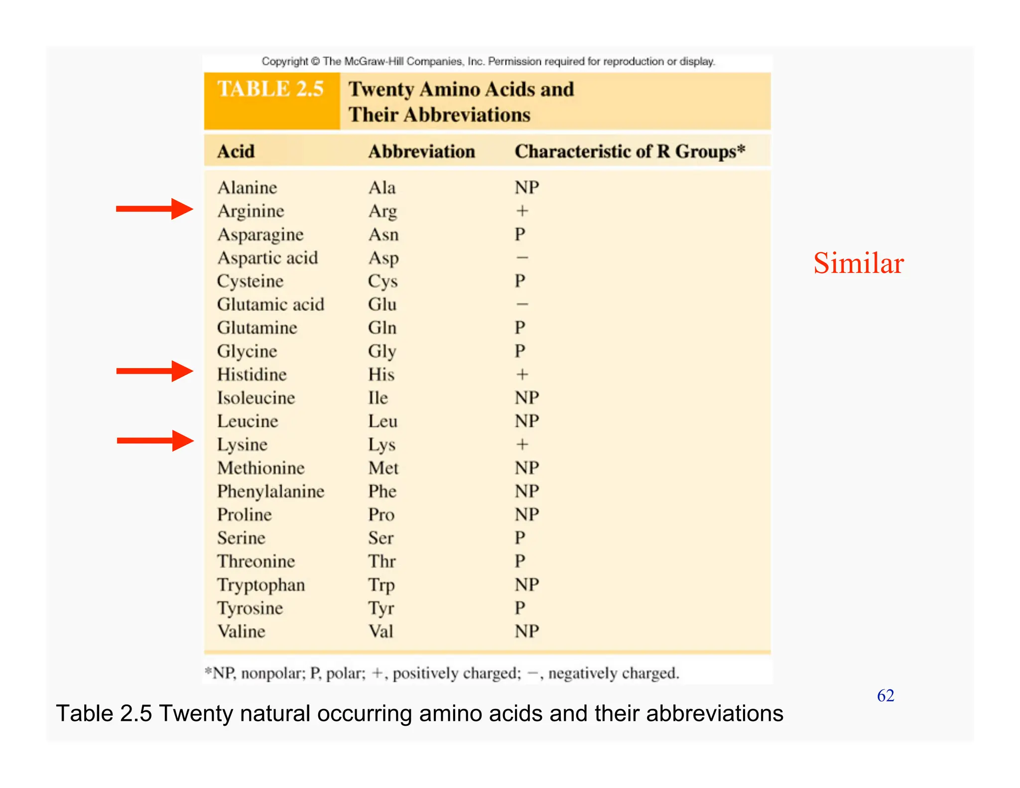 62
Table 2.5 Twenty natural occurring amino acids and their abbreviations
Similar
 