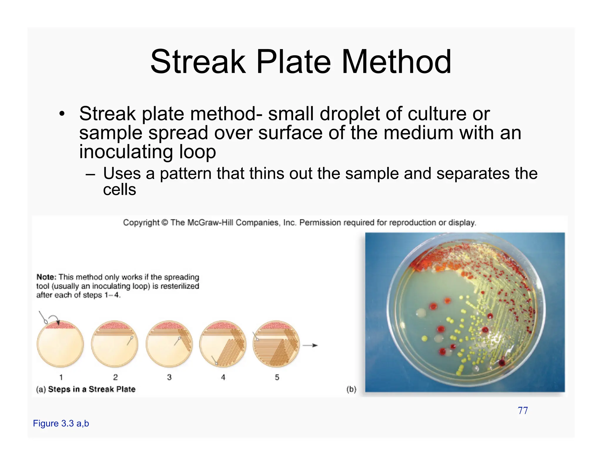 77
Streak Plate Method
• Streak plate method- small droplet of culture or
sample spread over surface of the medium with an
inoculating loop
– Uses a pattern that thins out the sample and separates the
cells
Figure 3.3 a,b
 