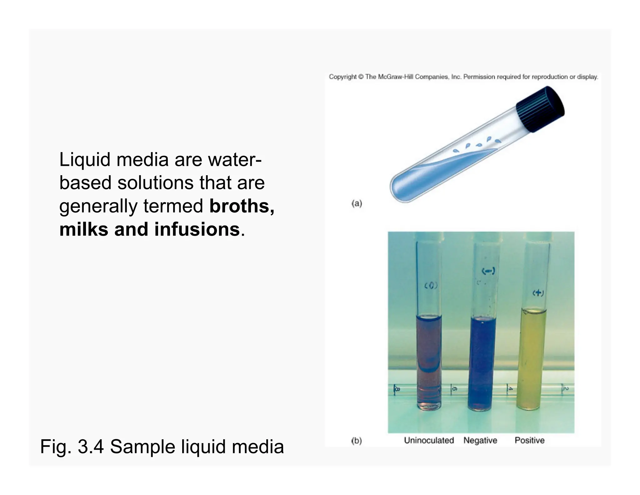 83
Liquid media are water-
based solutions that are
generally termed broths,
milks and infusions.
Fig. 3.4 Sample liquid media
 