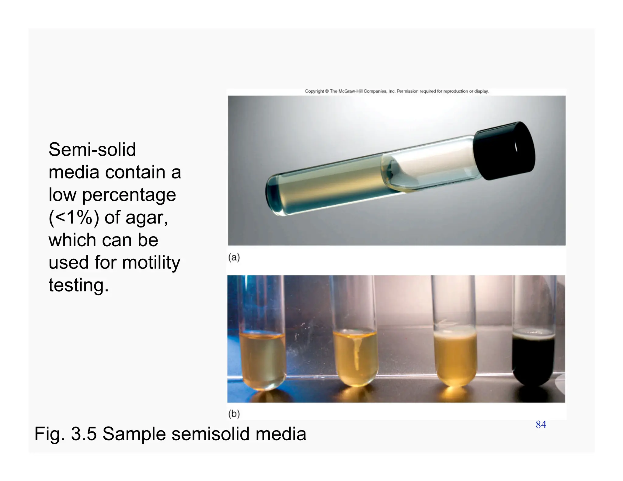 84
Semi-solid
media contain a
low percentage
(<1%) of agar,
which can be
used for motility
testing.
Fig. 3.5 Sample semisolid media
 