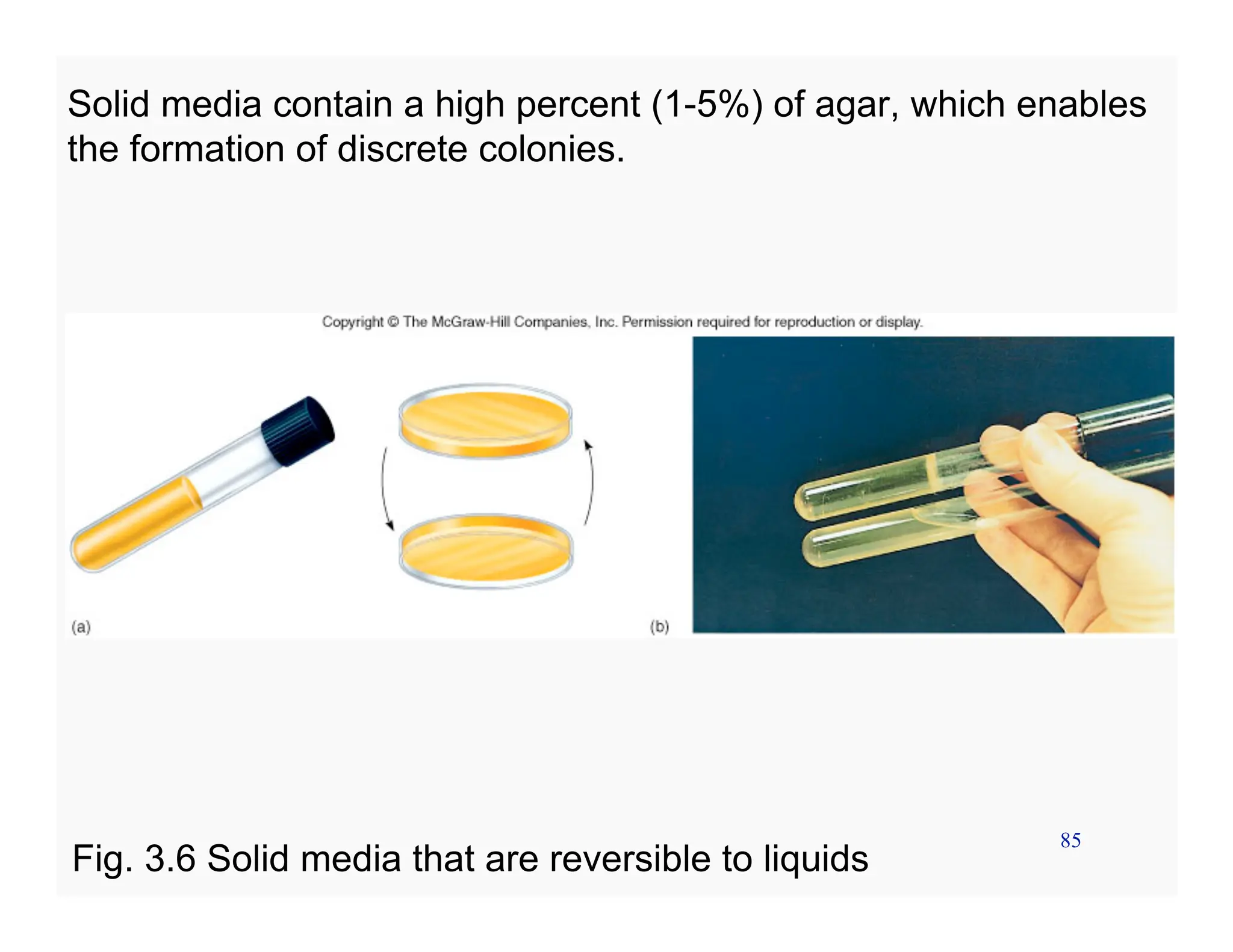 85
Solid media contain a high percent (1-5%) of agar, which enables
the formation of discrete colonies.
Fig. 3.6 Solid media that are reversible to liquids
 