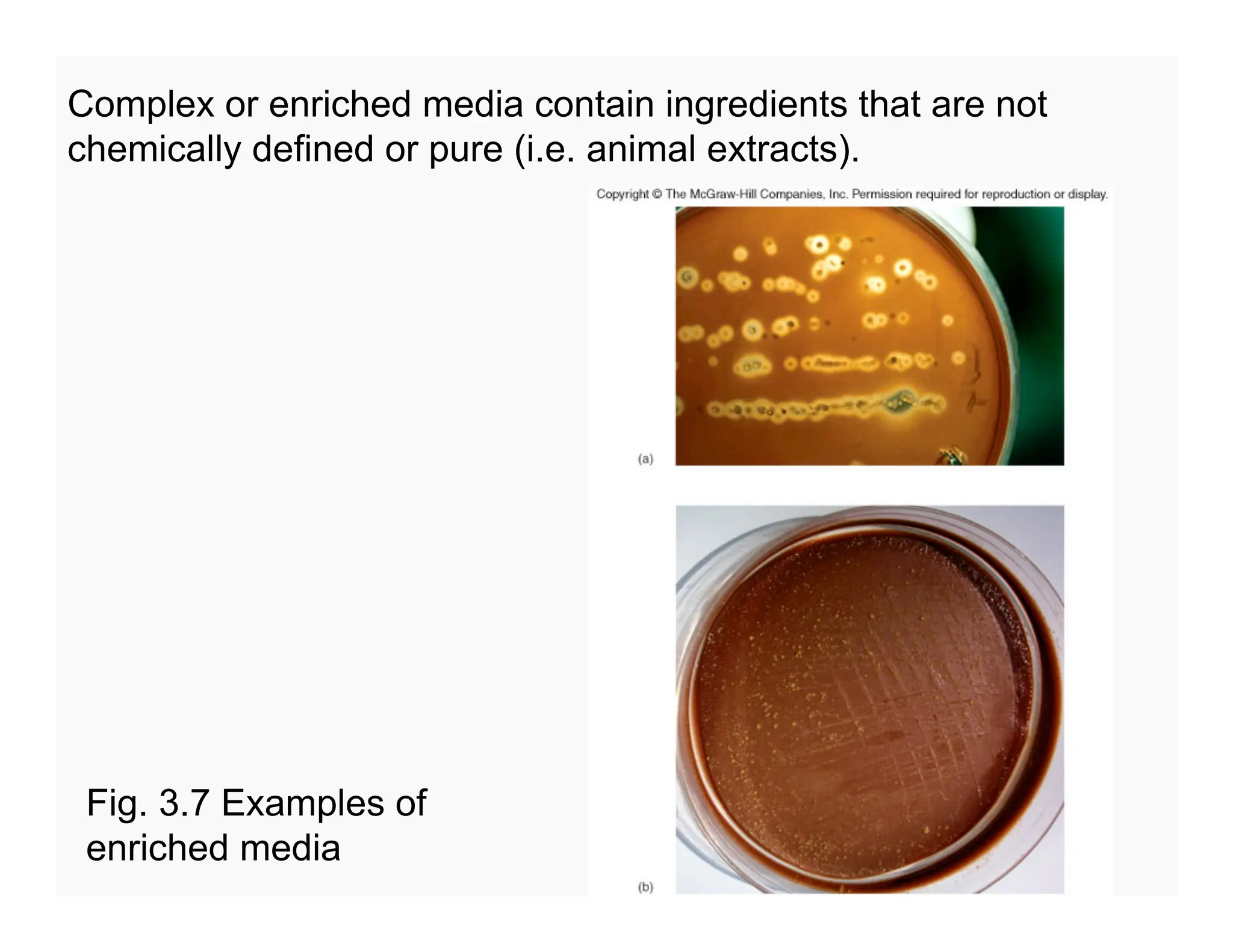 88
Complex or enriched media contain ingredients that are not
chemically defined or pure (i.e. animal extracts).
Fig. 3.7 Examples of
enriched media
 