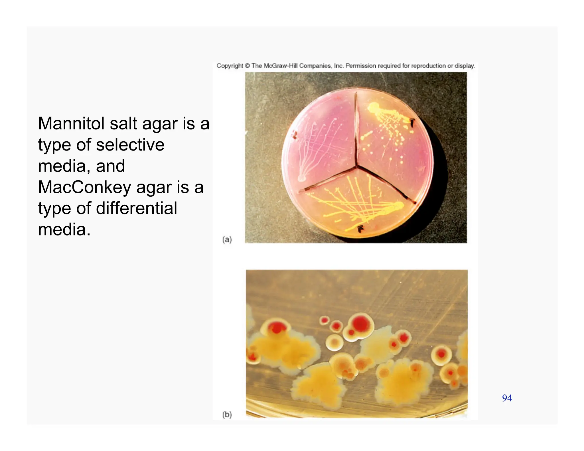 94
Mannitol salt agar is a
type of selective
media, and
MacConkey agar is a
type of differential
media.
 
