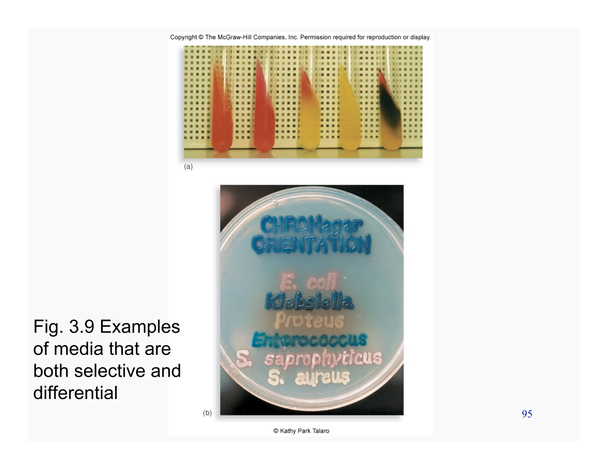 95
Fig. 3.9 Examples
of media that are
both selective and
differential
 